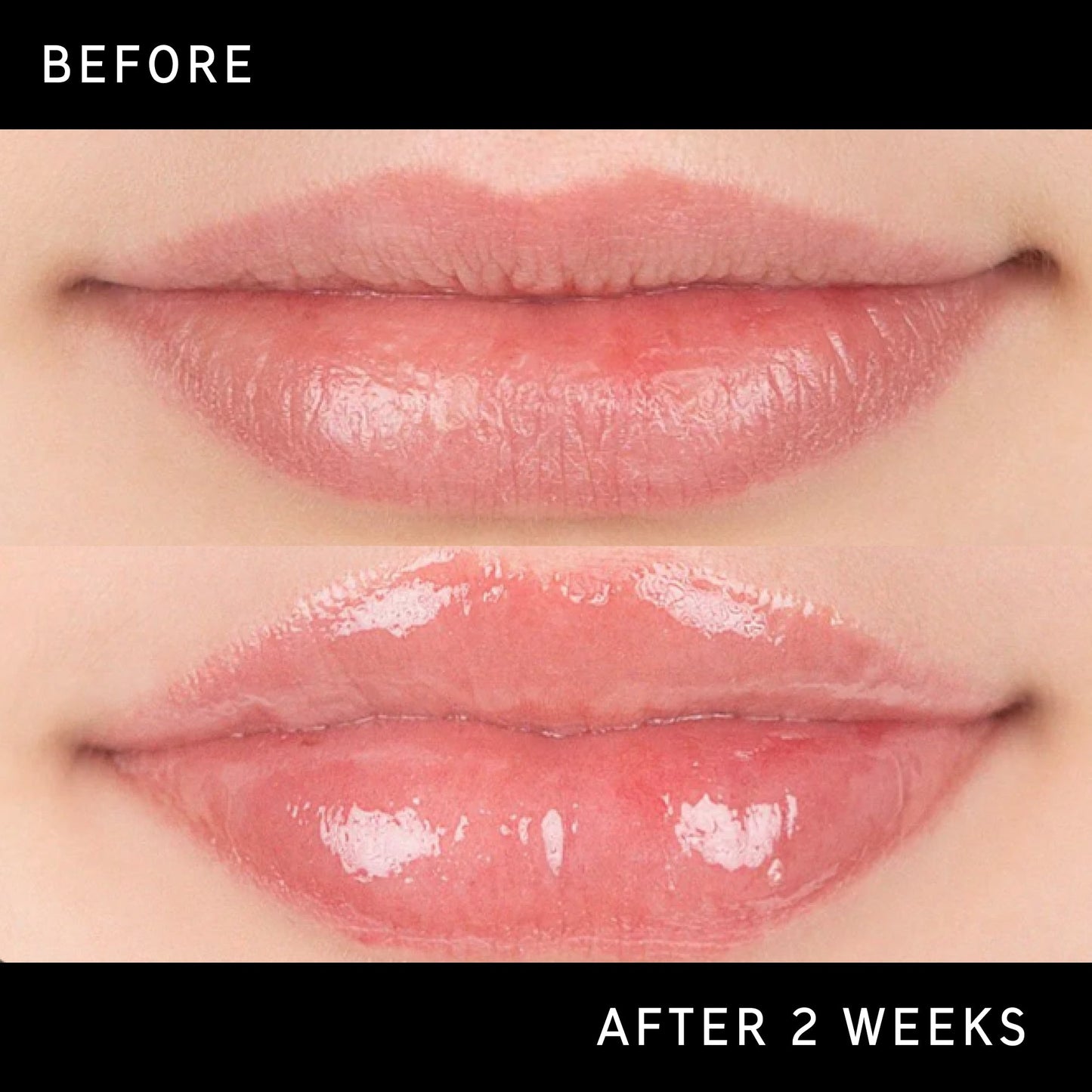 lip-plumping-duo-z2 DTC-Top15_Amends_Tripeptide-Lip_B_A.jpg